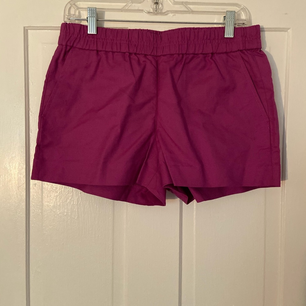 J. Crew NWT cotton elastic shorts Size 6 purple